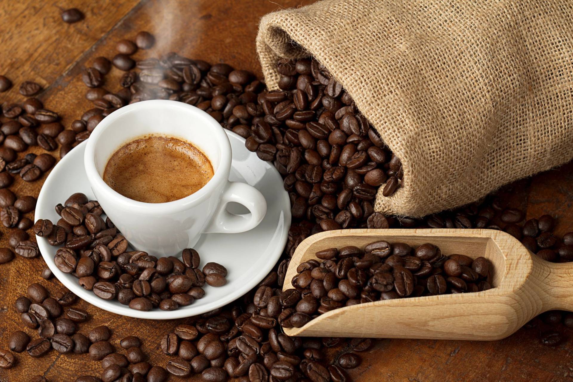 Le Courrier du Sud  Découvrez l'art de choisir le café en grain