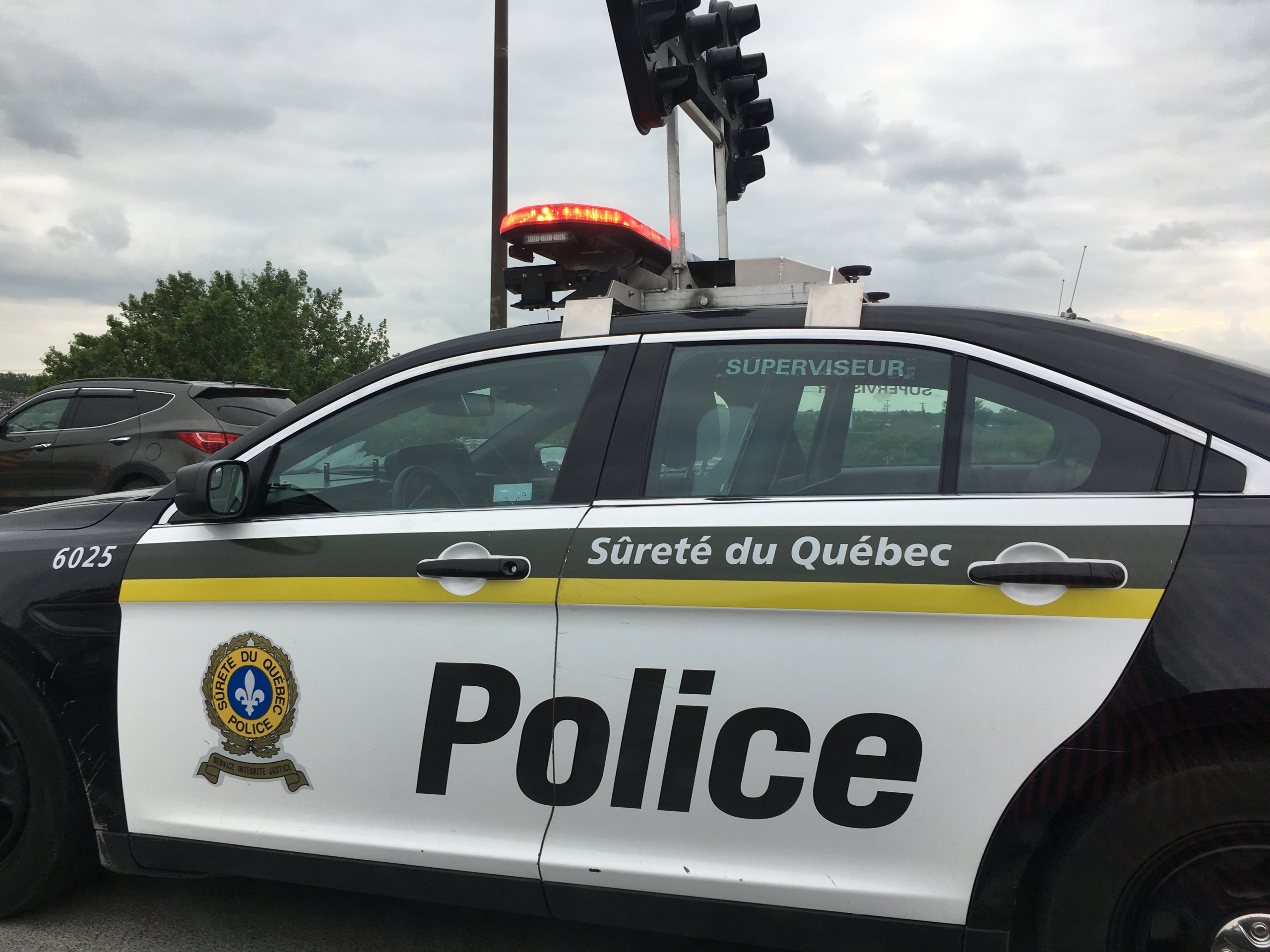 La police retrouve un lama en liberté sur le bord d'une autoroute en Ontario